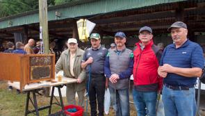 Huge crowd flocked to action-packed Iverk Agricultural Show  