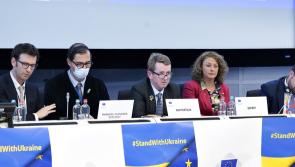 Clonmel's Mayor promotes closer cooperation between the EU and UK post Brexit