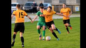 Impressive Tipperary Premier League wins for Two Mile Borris and Peake Villa