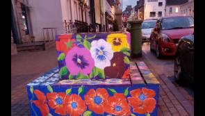 Mural by South Tipperary Art Group in Clonmel is almost completed