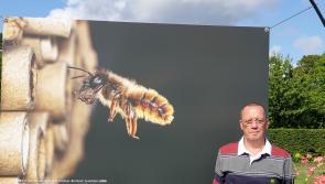 Tipperary-based photographer took time out from honeymoon to attend national final