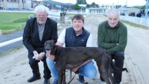 Rex puts rivals to the sword in the National Produce Stake in Clonmel