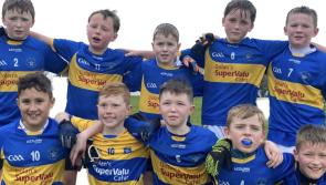 South Tipperary Parish Fundraiser: Music, song and craic this Saturday night  