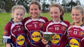 Tipperary girls help Cork school to county ladies football final success
