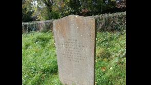 Margaret Rossiter Column: Digitally mapping St Stephen’s Cemetery, Clonmel