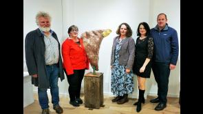 Tipperary artist's stunning new exhibition continues during November at Cahir Arts