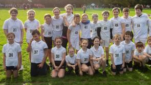 We need your help! - Tipperary village makes appeal to community for volunteers 