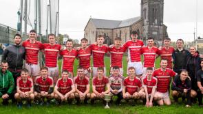 Celebrations this weekend in west Tipperary - two county winning teams to be feted