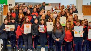 Help a child realise how amazing they are - Foster Care info event for Tipperary and Kilkenny