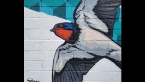 WATCH: Check out these amazing murals painted in Thurles town