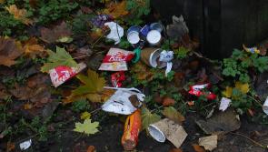 Garda&iacute; are not responsible for tackling Tipp's litter problem, Tipperary JPC hears