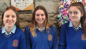 Borrisoleigh students get involved in Tipperary domestic violence awareness campaign 