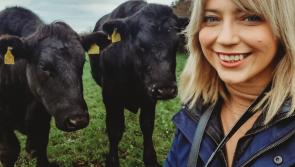 A new kind of village: Katie Gleeson on  farming, fresh food, and Instagram