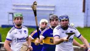 Sarsfields make surprisingly light work of lacklustre Sean Treacys