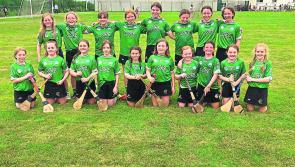 Templemore  Camogie U12s are through to the County Final
