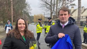 Louth senator says State should honour Ukrainians leaving Ireland to defend homeland