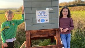 Children's honesty box in the Midlands closed after eggs and money stolen