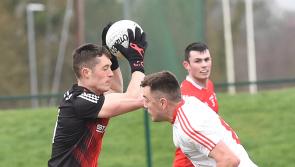 Two Louth goalkeepers withdraw from Mickey Harte's senior panel
