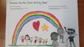 Louth schools win big at 'Someone Like Me' national art competition