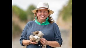 Marita  Collier is Louth’s Leading Light for National Women’s Enterprise Day
