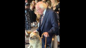 President Higgins visits Kilkenny, meets Rudy the Golden Retriever