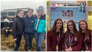 Longford students win Farm Sustainability Award at BT Young Scientist & Technology Exhibition