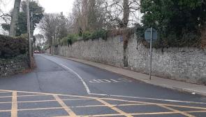 Kelly slams new works on Mount Avenue  in Dundalk