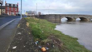IBAL report ranks Dundalk as the most littered town in Ireland