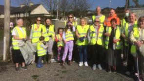 PICTURES: Successful spring clean completed in sunny South Kilkenny 