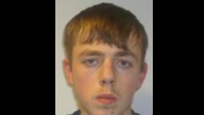 Gardaí seek public's assistance in finding missing Louth teenager
