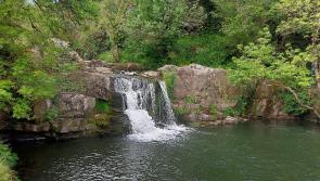 New visitor carpark and walking trail opens at scenic Kilkenny waterfall