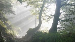 Mid Tipperary parish saddened at passing of two men with local links