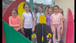 Kids from Dundalk's The House in Coxs Demesne create 3D sculpture