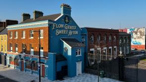 Dundalk's SEEK Urban Arts Festival announces further artists