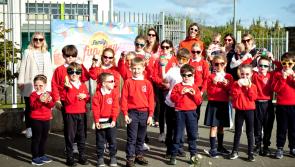 St Francis NS in Blackrock set to host Well-Come Week