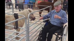 The farmyard comes to St Oliver's in Dundalk