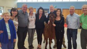 PHOTOS: The farmyard came to St Olivers in Dundalk