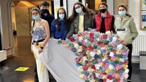 Offaly students inspired by their involvement in Junk Kouture