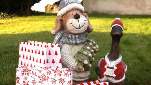 Christmas market for Offaly canal-side village this Sunday