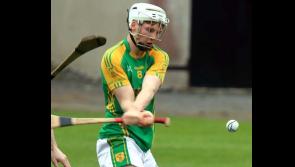 Reviews: Brave efforts from Toomevara and Borris-Ileigh come up short to south finalists