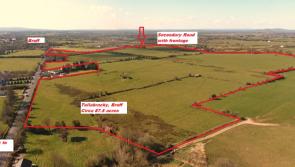 Three Limerick lands sales make over €1m in an hour