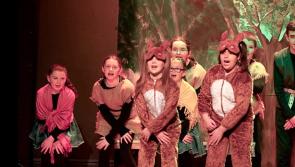 Gallery: Robin Hood and Babes in the Woods @ St John Bosco Centre Donegal Town