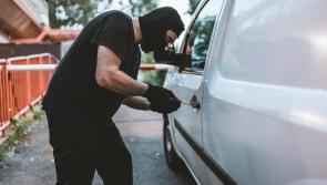Tools stolen from van in Laois
