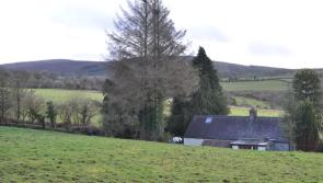 Picturesque cottage with rolling hill views in Kilkenny going to auction - see more!