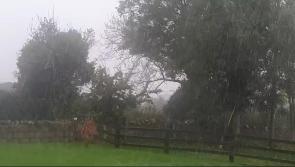 LIVE: Heavy showers and gusting winds across Ireland as Storm Ashley set to hit this weekend
