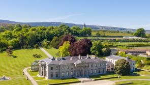 Broadband rolled out to Laois area with plush hotel 'essential'