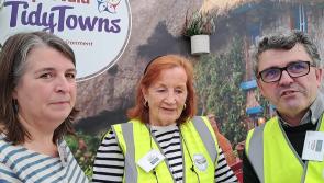WATCH Abbeyleix Tidy  Towns fly the flag for Laois at the Ploughing