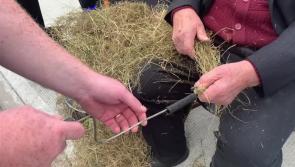 Watch Conaill  Ó Coilín demonstrate how to make súgán at the Glenties Harvest Fair