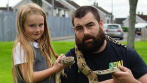 Reptile rescue group in Derry experiencing an increase in unwanted pets
