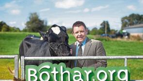 IFA queries future of Limerick-based charity as it seeks to hire new CEO